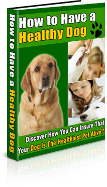 How To Have A Healthy Dog