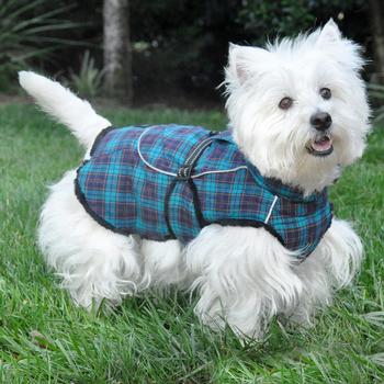 Alpine Flannel Dog Coat – Navy Blue and Turquoise Plaid