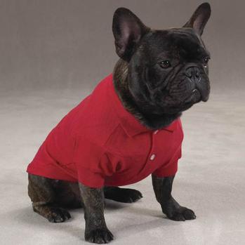 Polo Dog Shirt – Tomato Red