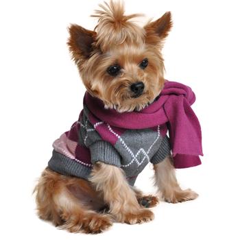 Argyle Purple Dog Sweater with Scarf