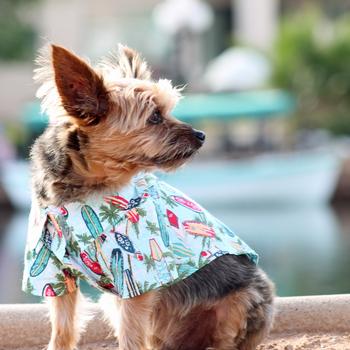 Hawaiian Camp Shirt by Doggie Design – Surfboards and Palms